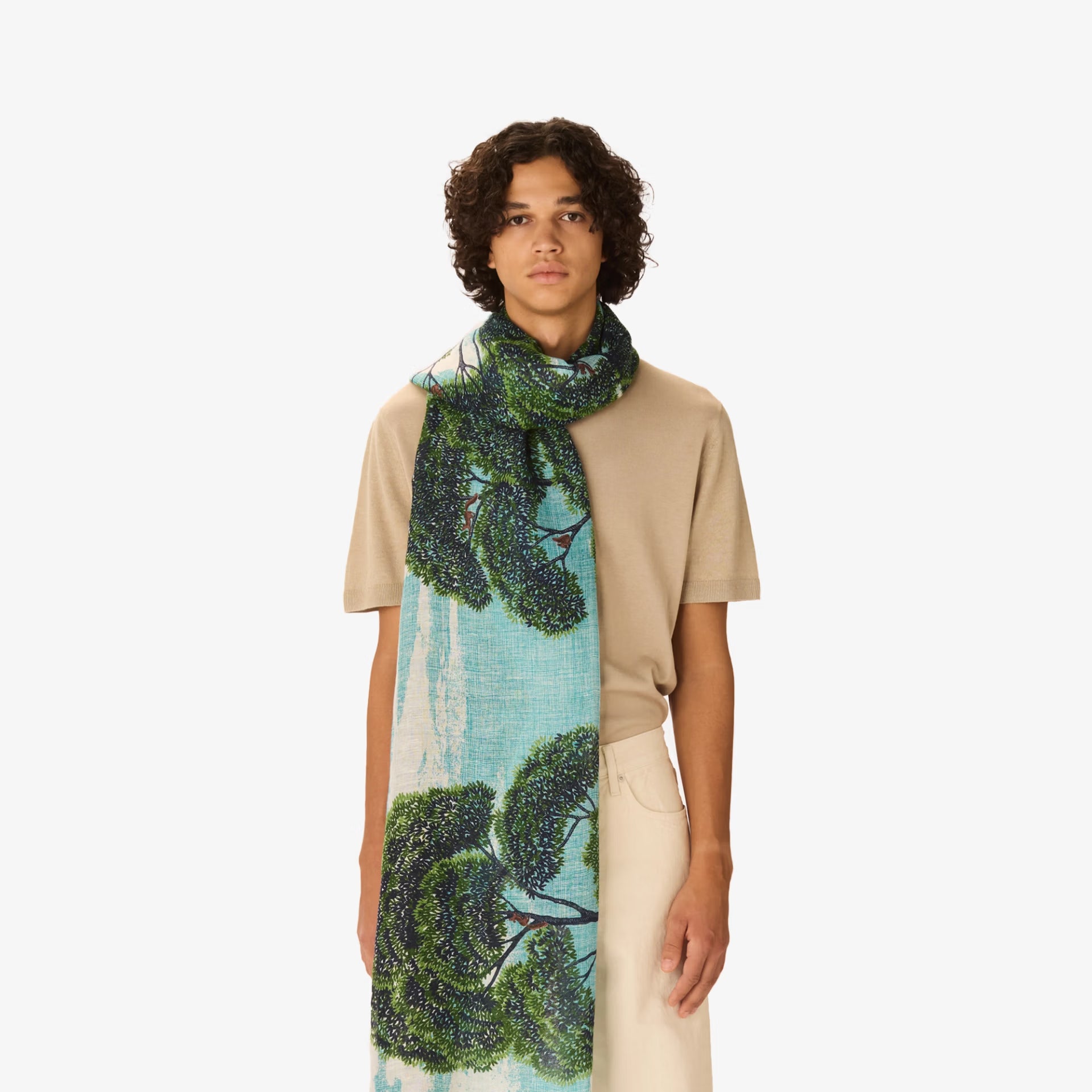 Scarf 70 - Ambroise