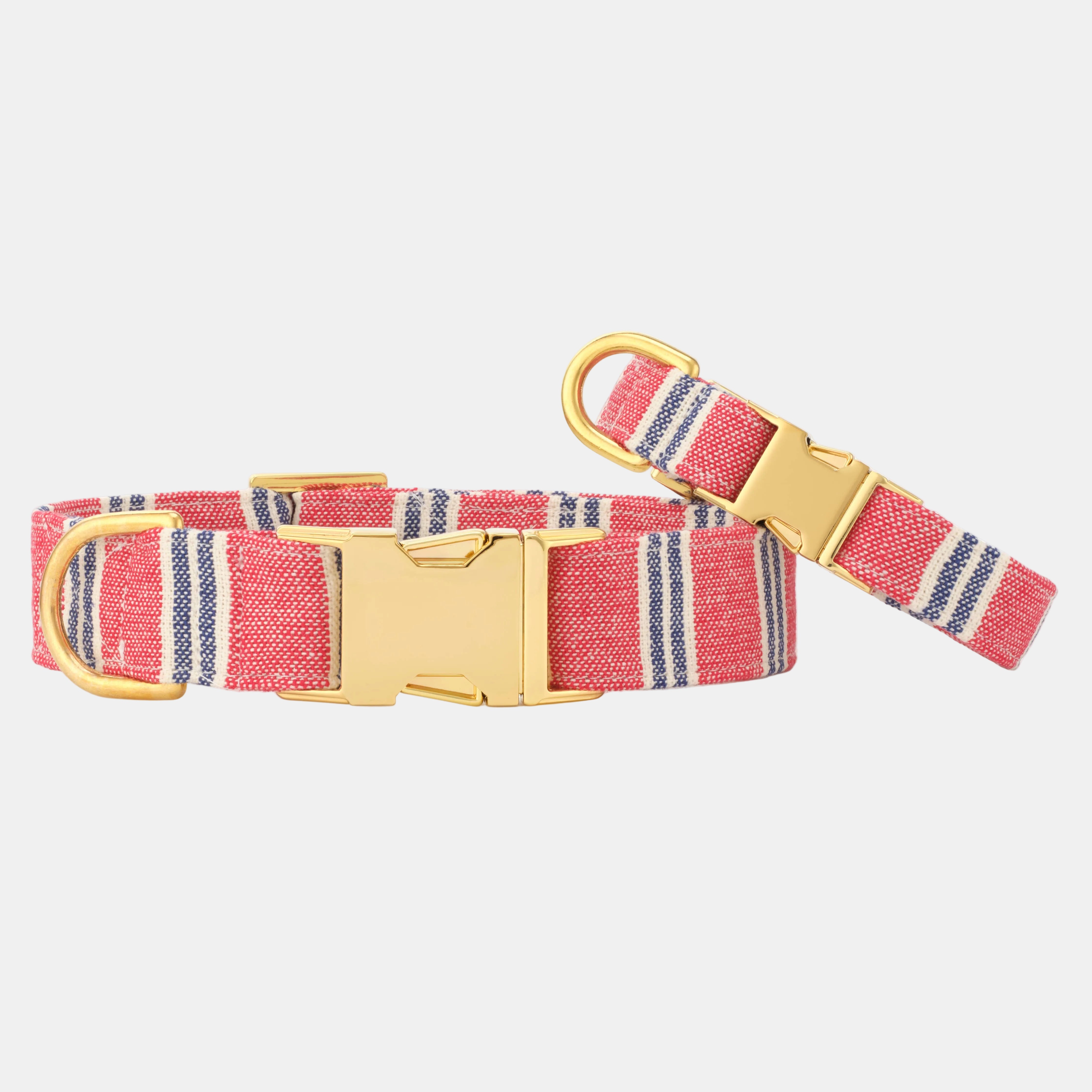 Red and blue striped dog collar with gold buckle on a white background