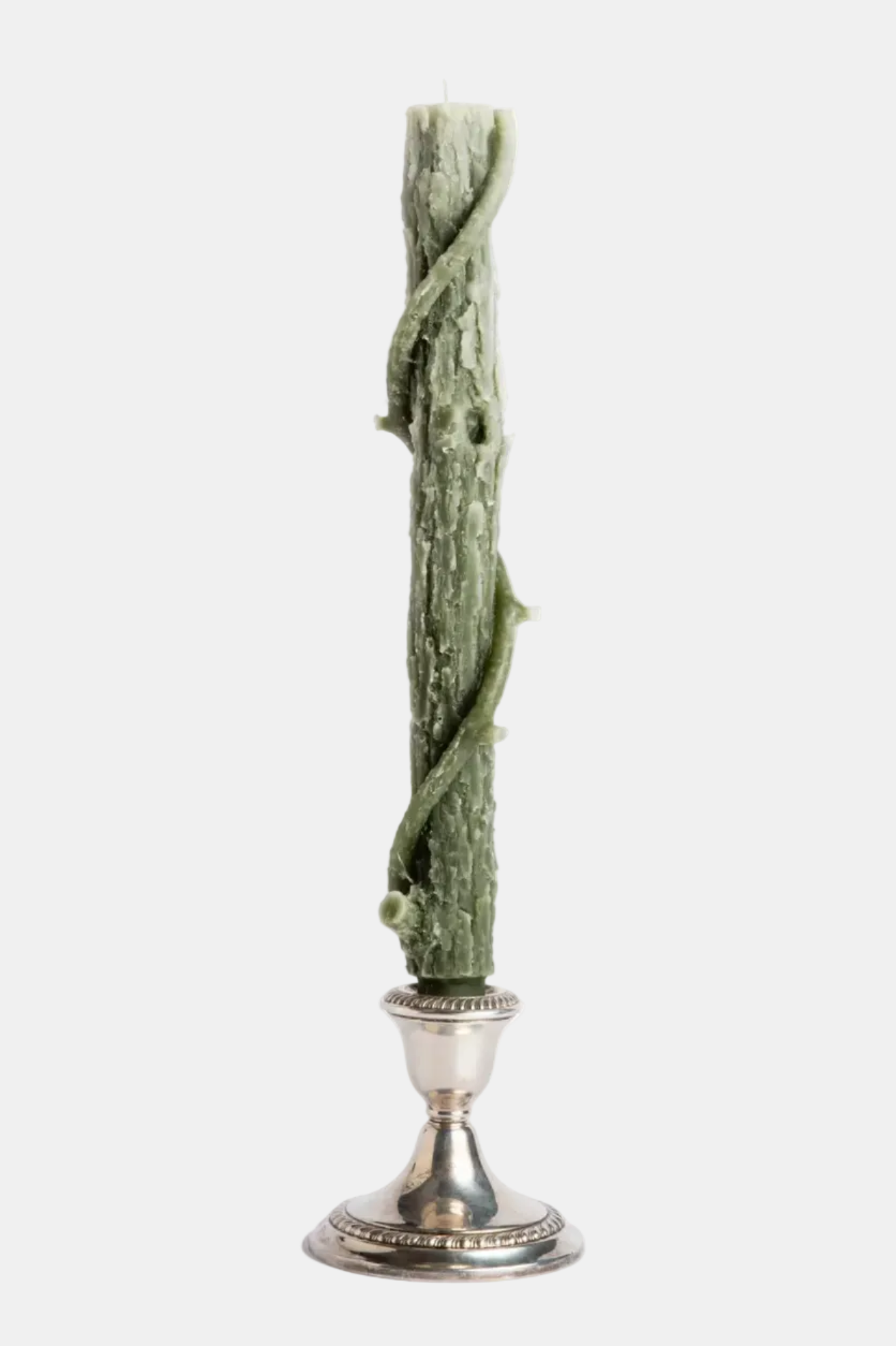 Green leafy branch on a silver stand against a white background