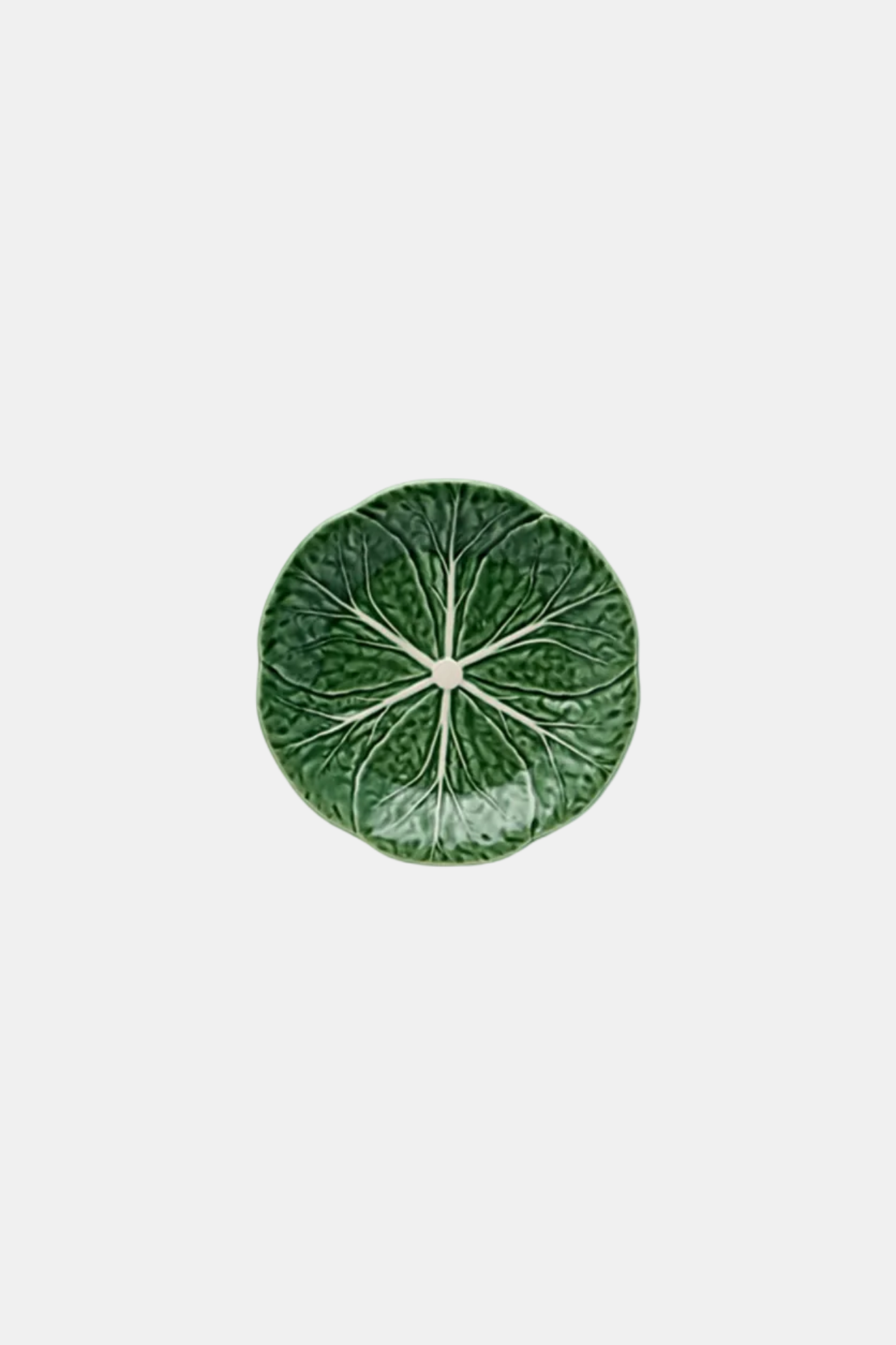 Green leafy vegetable on a white background