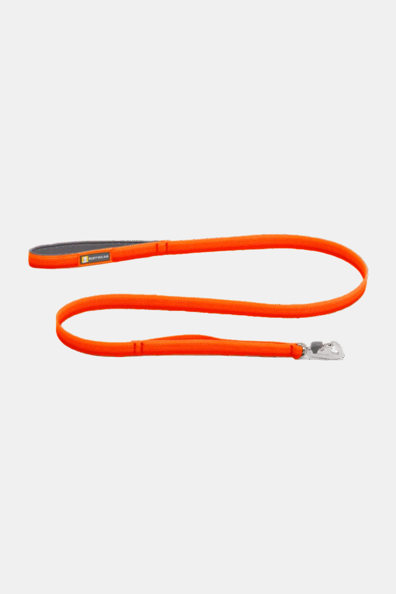 Orange dog leash with a metal clip on a white background