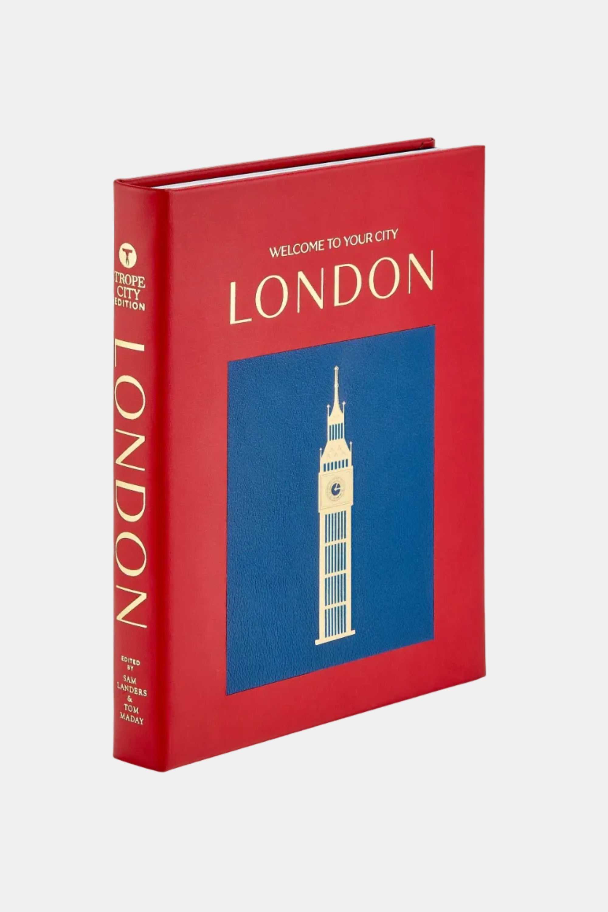 Red book titled 'Welcome to Your City London' with Big Ben illustration on a white background