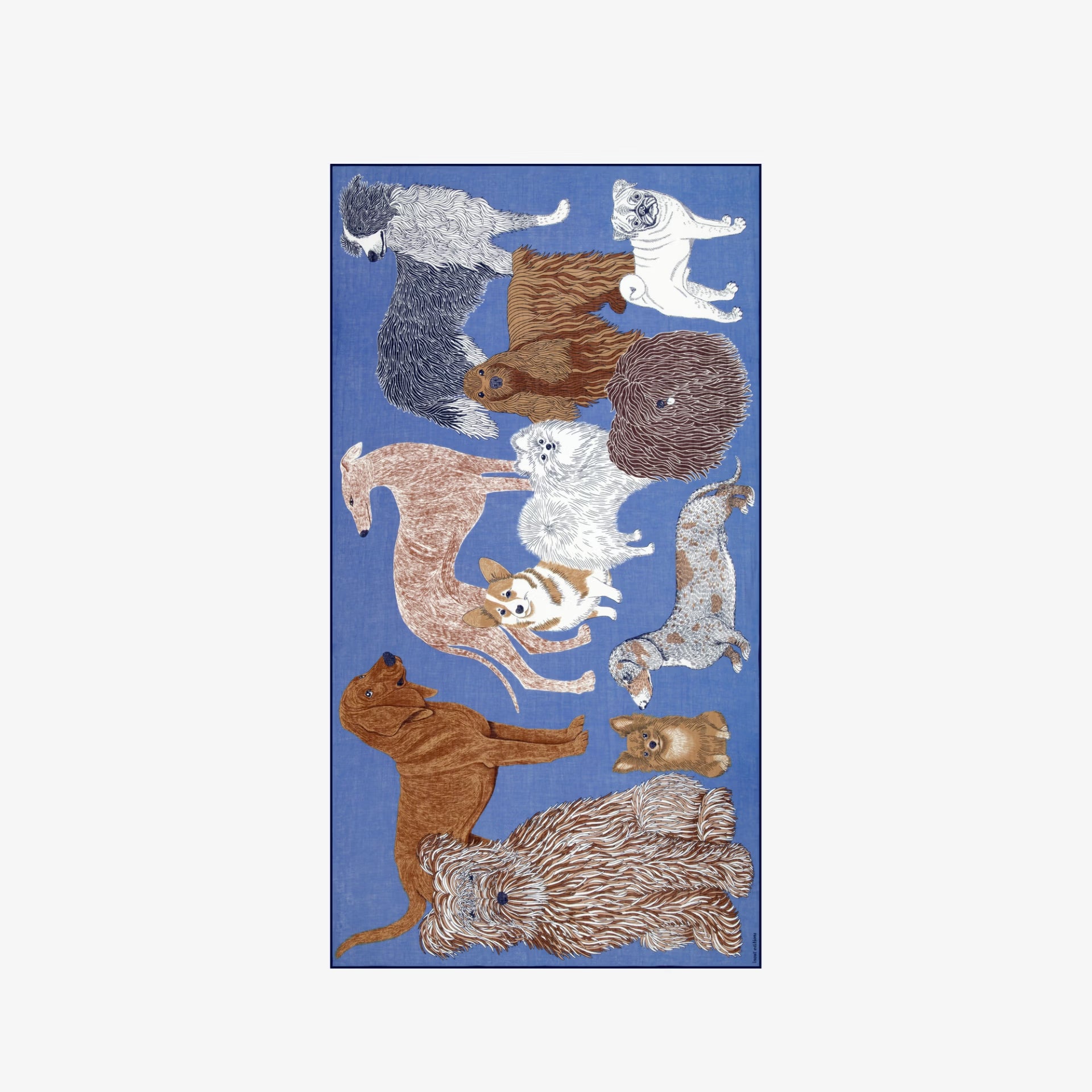Inoui Scarf 100
