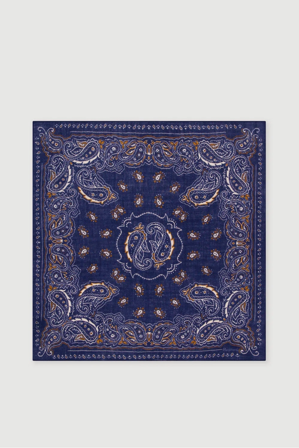Paisley Bandana