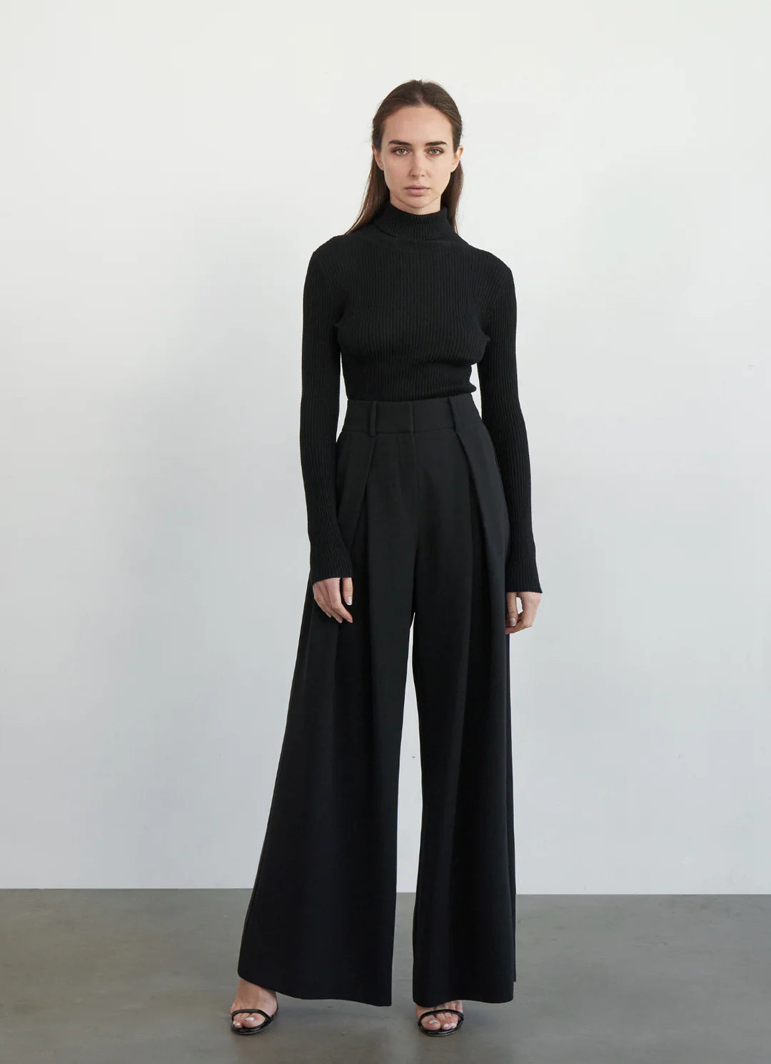 Ivy Ribbed Turtleneck Sweater