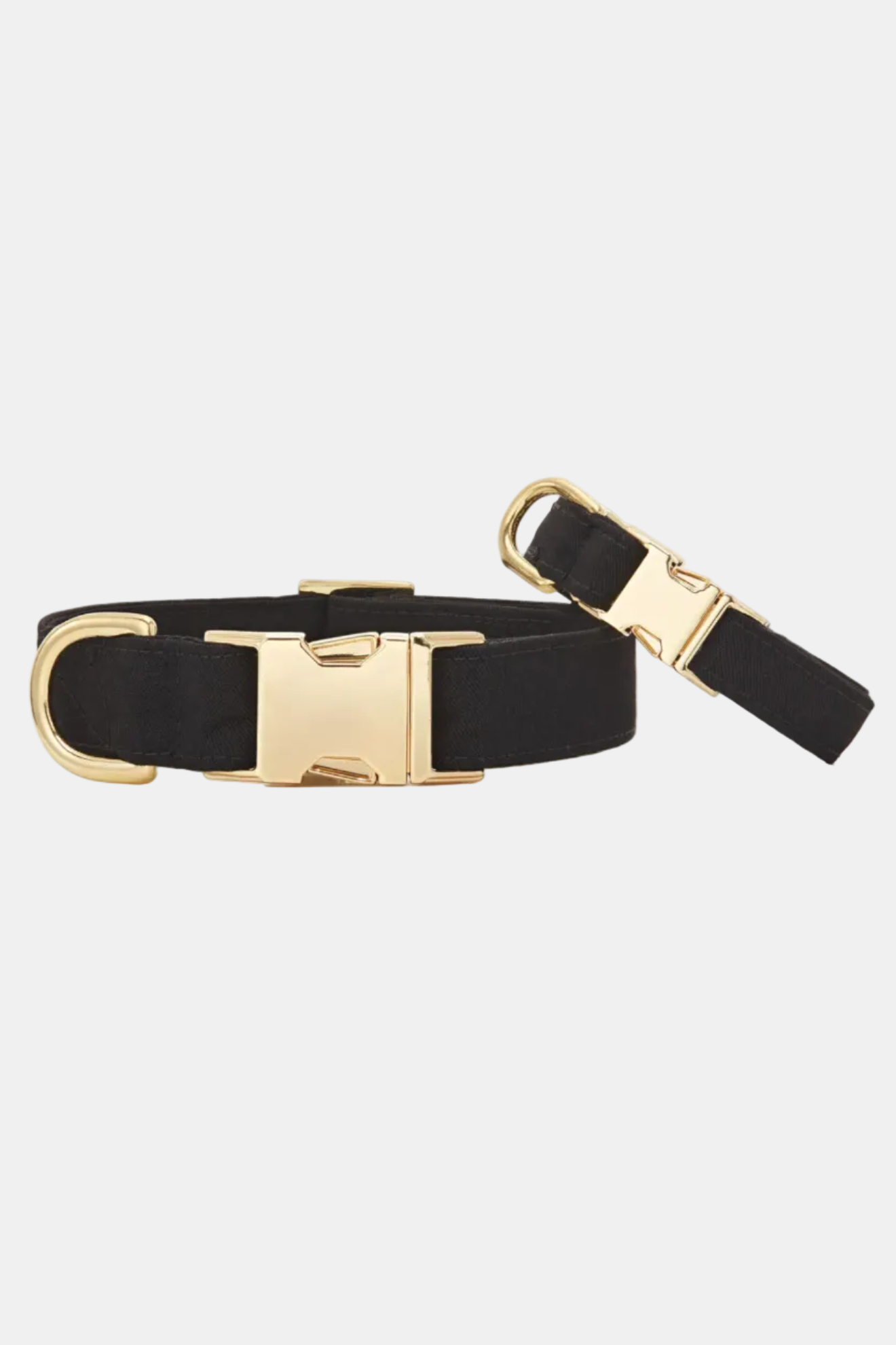 Black dog collar with gold hardware on a white background