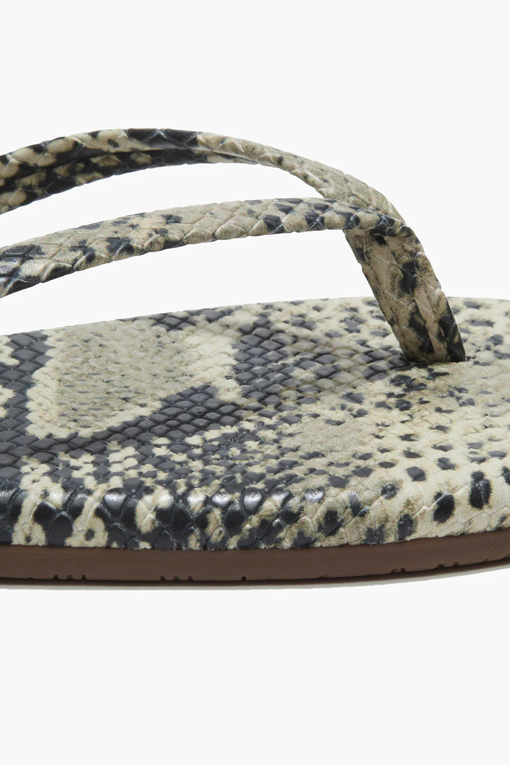 Snake print sandal on a white background