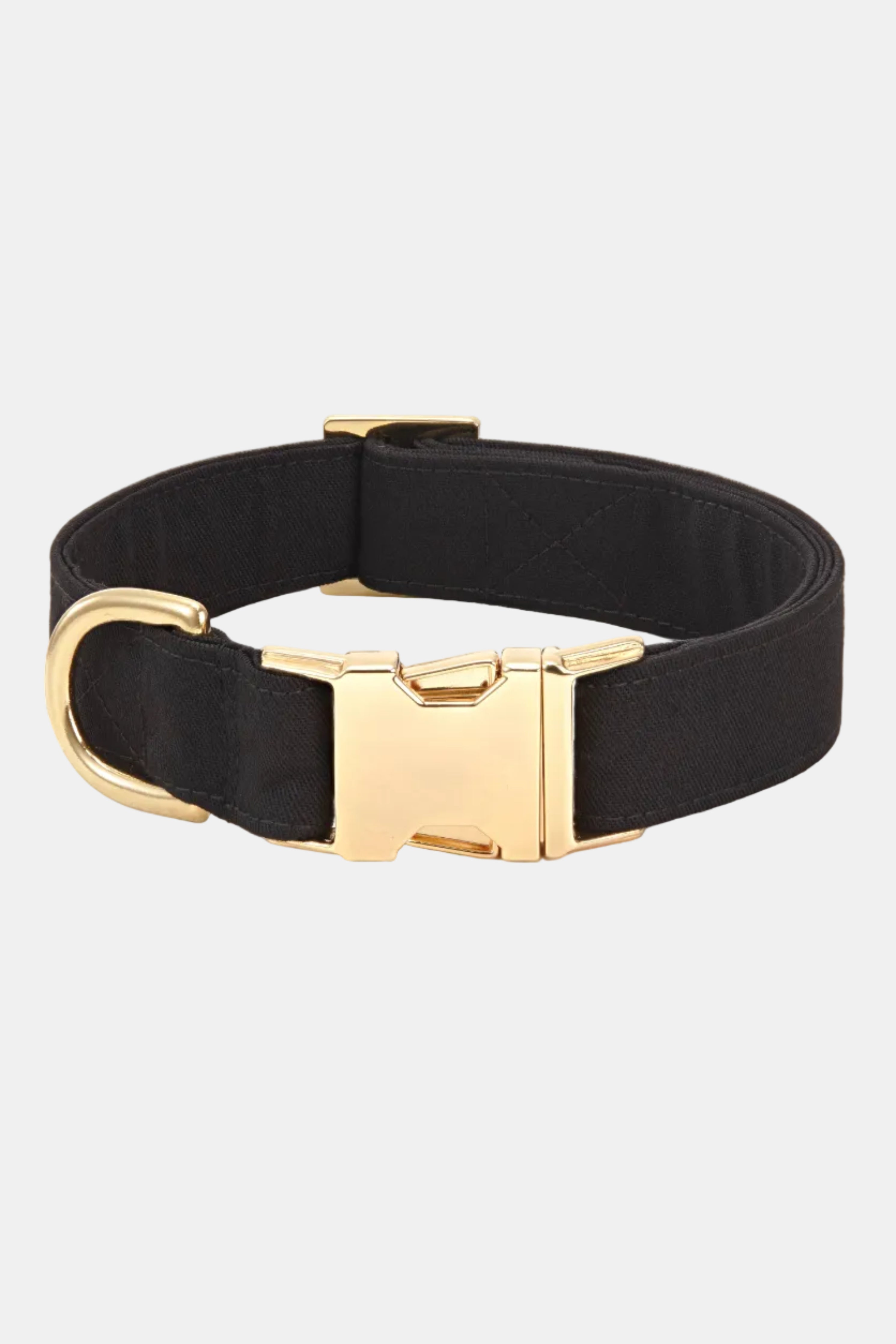 Black dog collar with a gold buckle on a white background