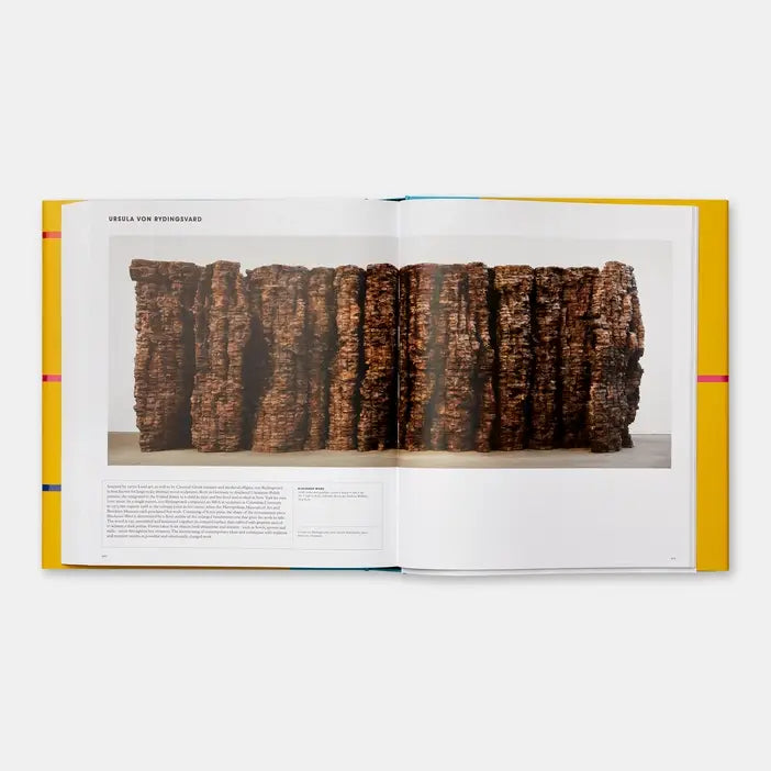 Open book showing a photograph of a textured brown sculpture on a white background