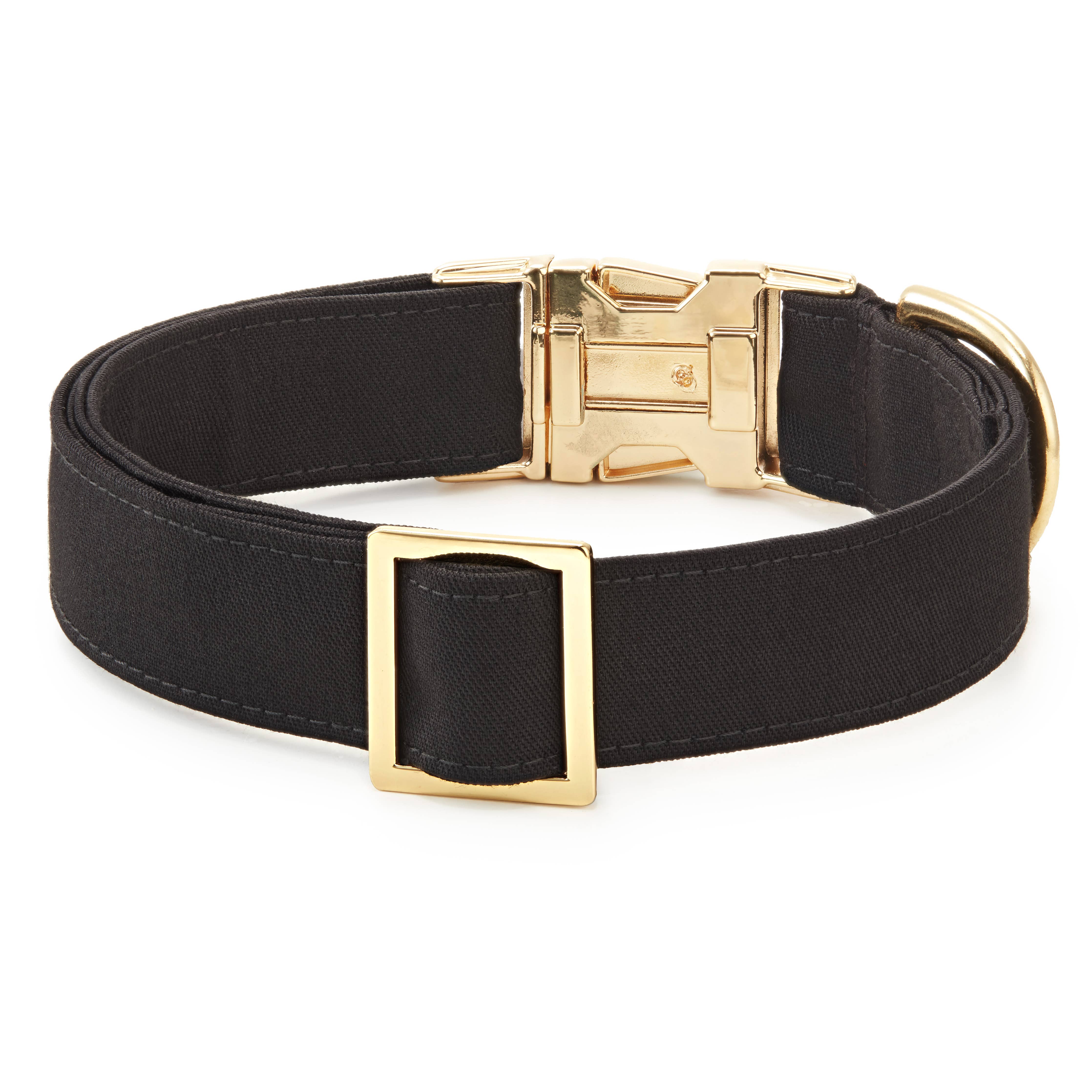 Black belt with gold buckle on a white background