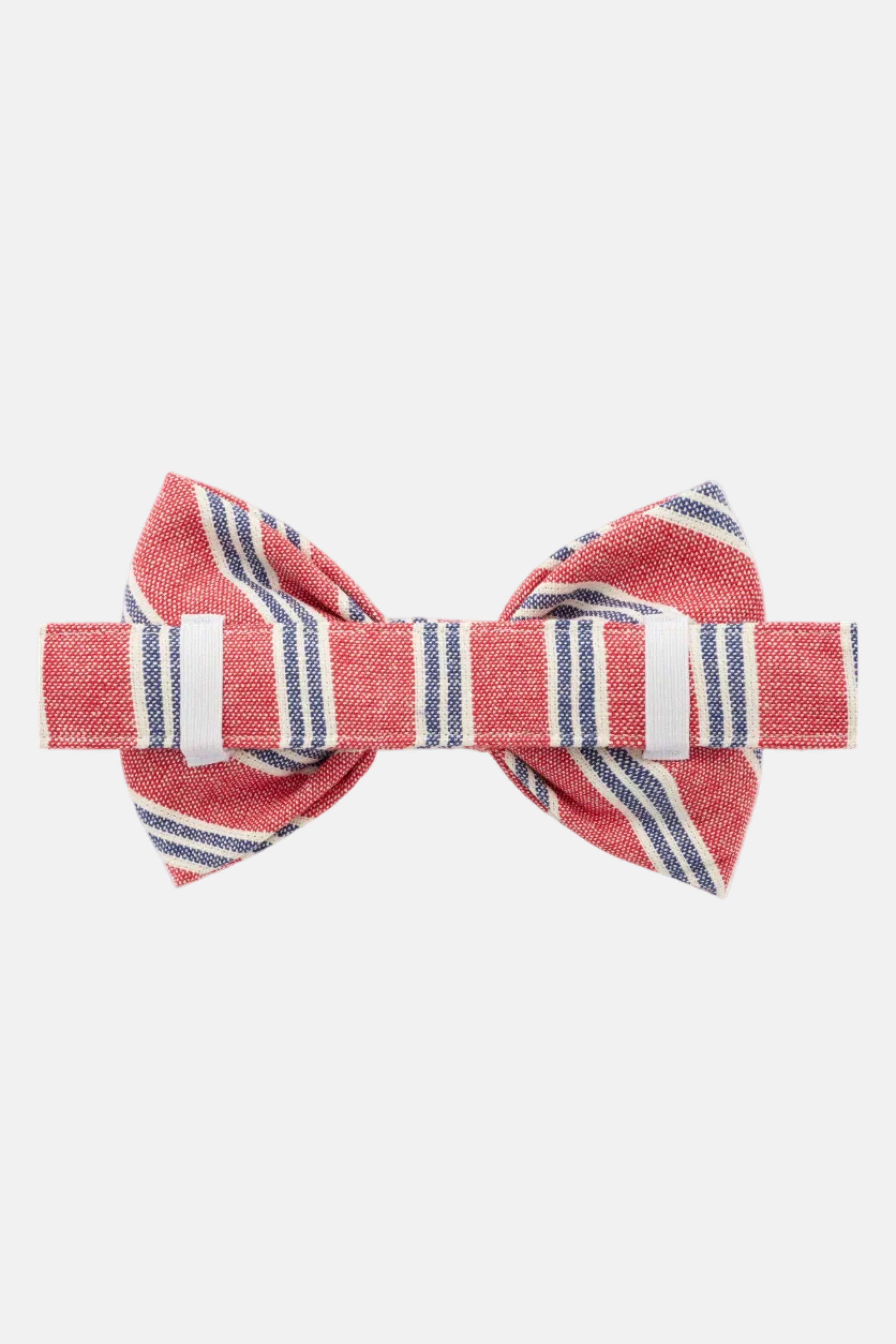 Red and blue striped bow tie on a white background