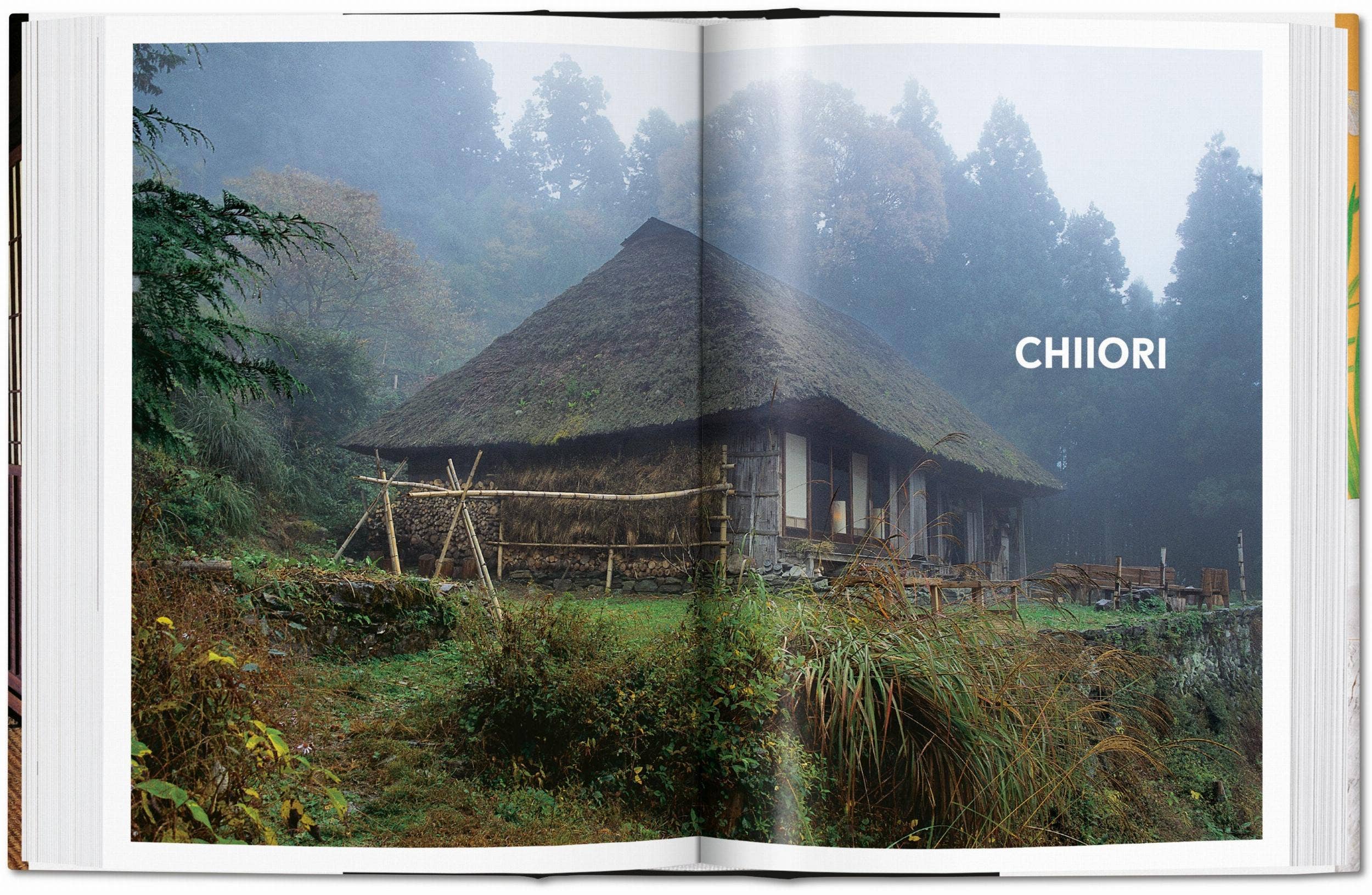Living in Japan. 45th Ed (German, French, English)
