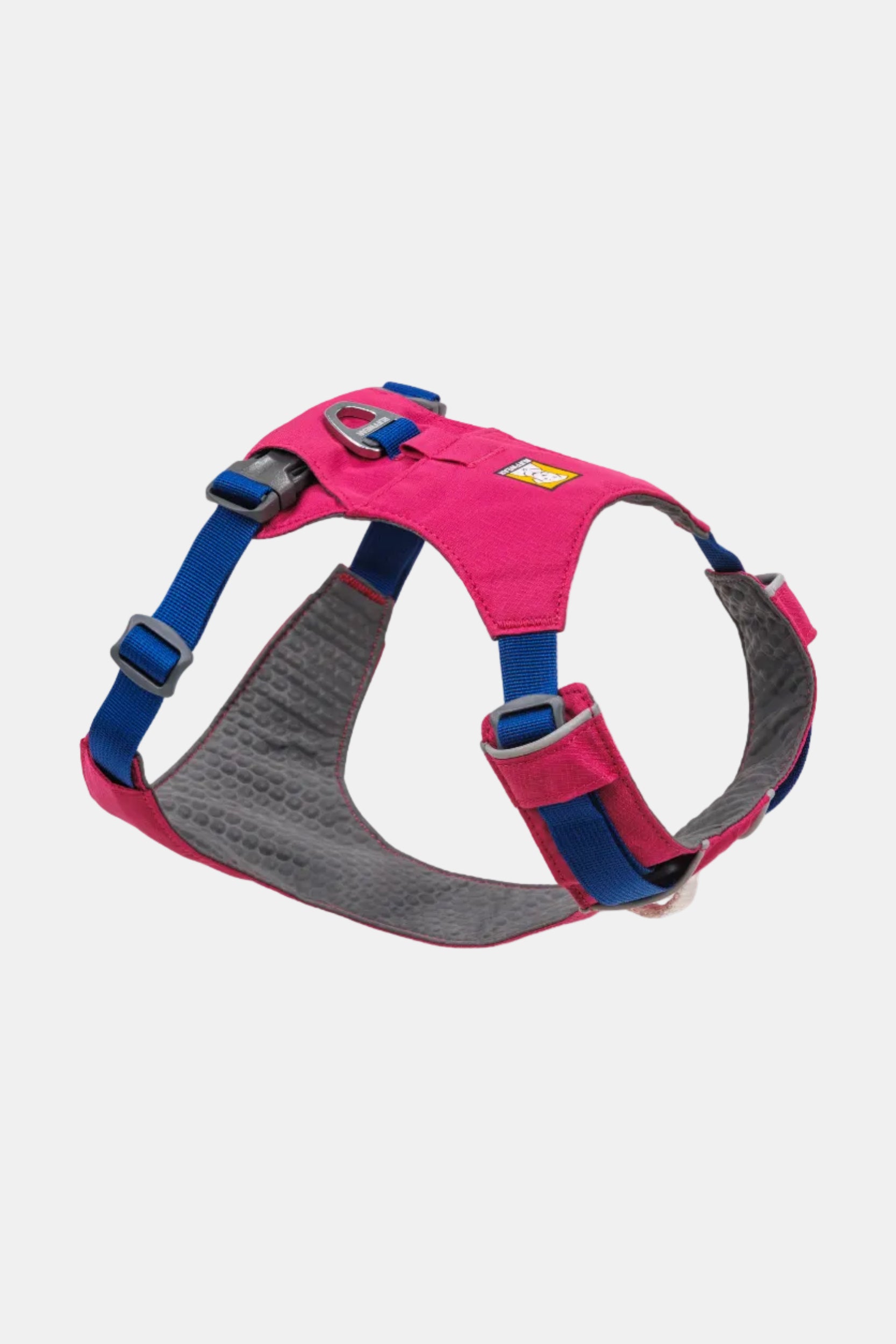 Pink and blue dog harness on a white background
